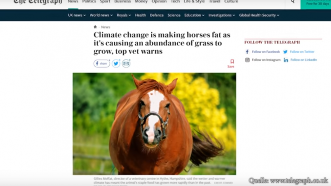 Pferde werden wegen zuviel Gras fett. Eine Folge des CO2.